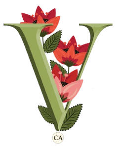 Vanaha Botanical Skin Care